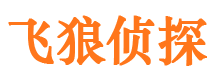 鹤峰寻人公司